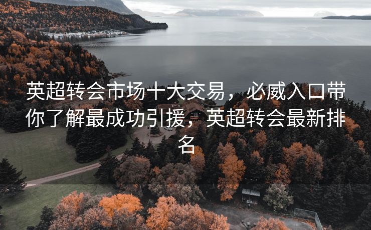 英超转会市场十大交易,必威入口带你了解最成功引援,英超转会最新排名 第2张 英超转会市场十大交易,必威入口带你了解最成功引援,英超转会最新排名 第2张
